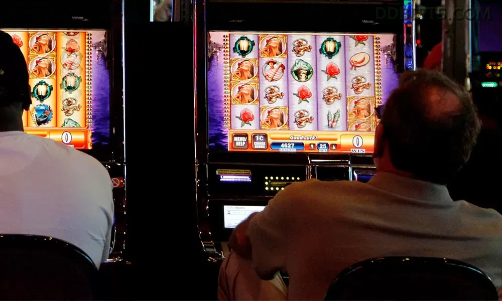 ddbet