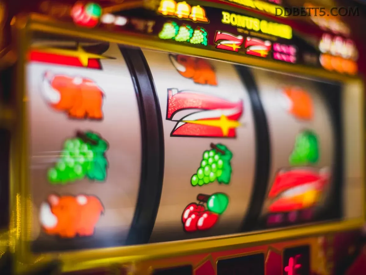 ddbet