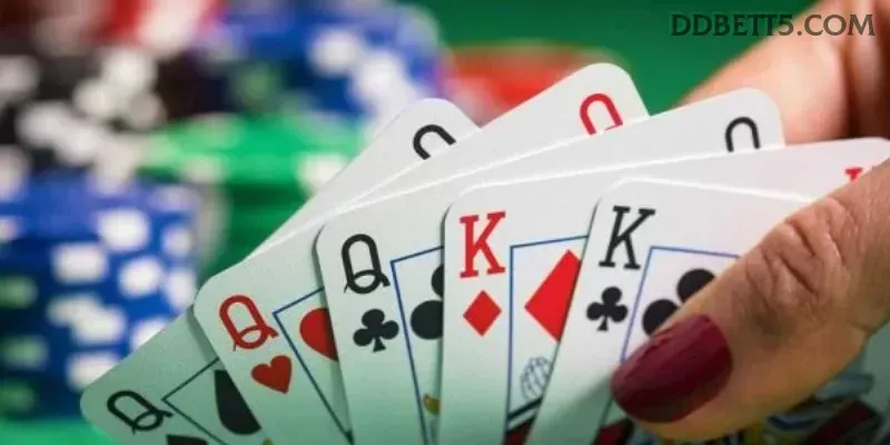 ddbet